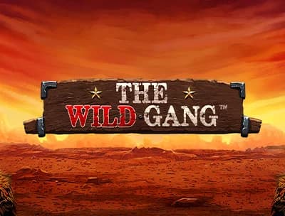 The Wild Gang
