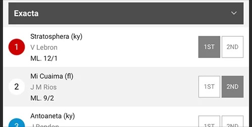 Image - Horses - Exacta Picks